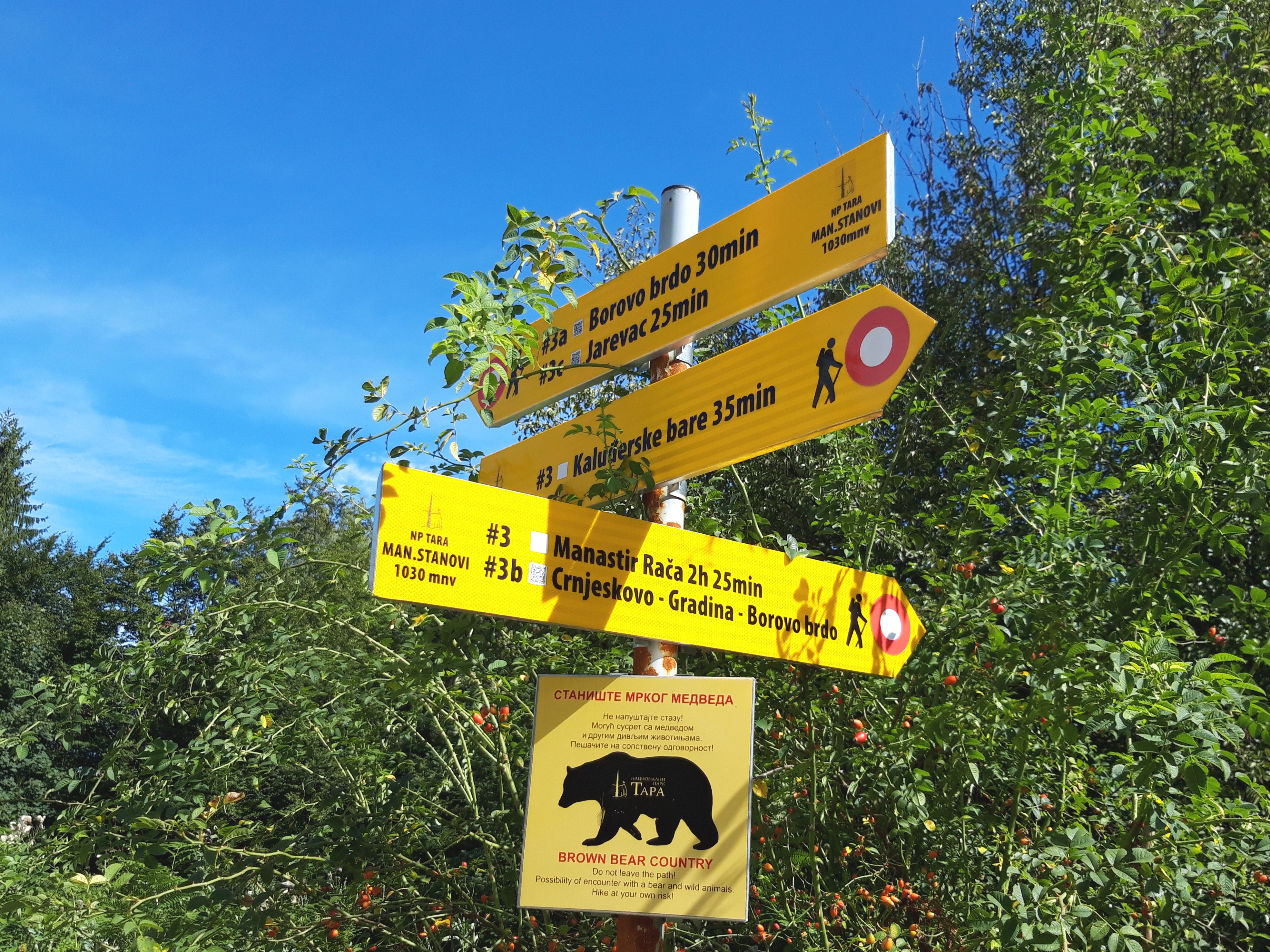 Tara National Park, Serbia