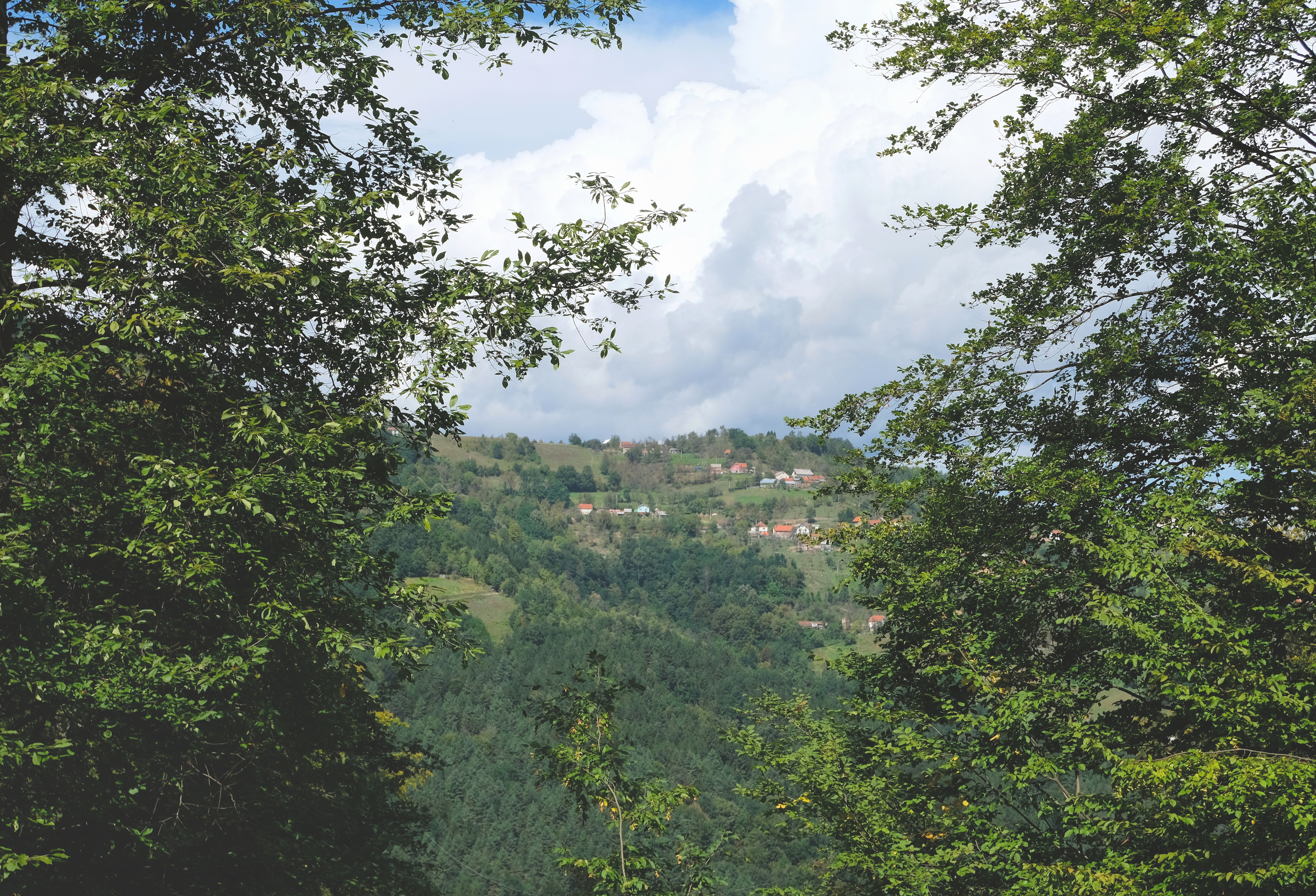 Tara National Park, Serbia
