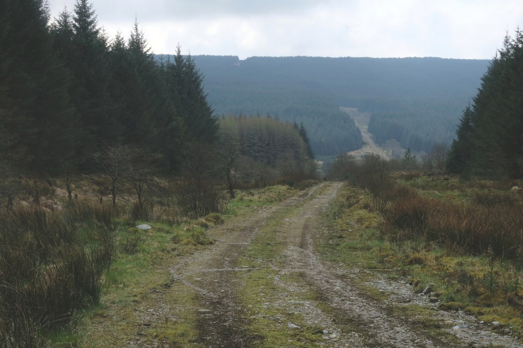 Glenlark Forest, Sperrin Mountains, County Tyrone (2).jpg