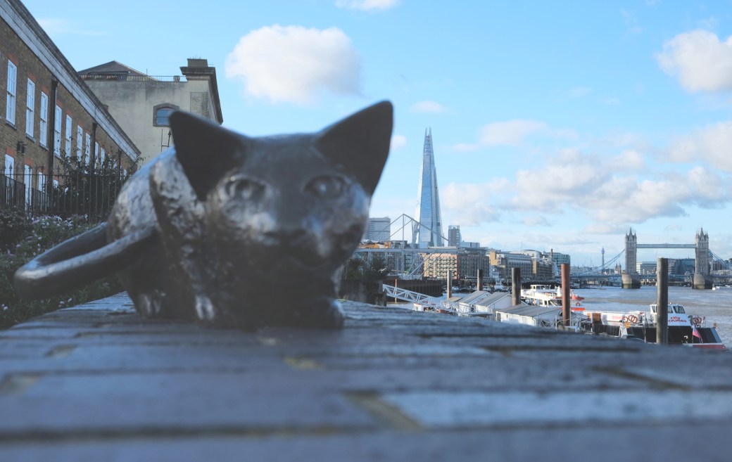Cat sculpture Bermondsey