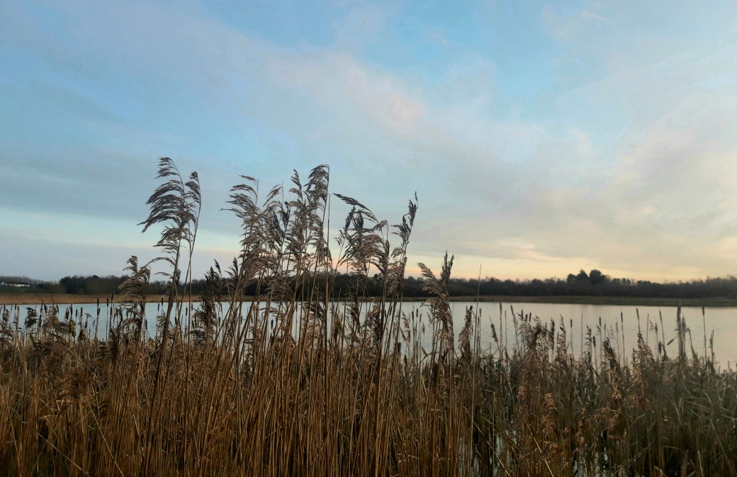 Derryadd Lake, Peatlands Park