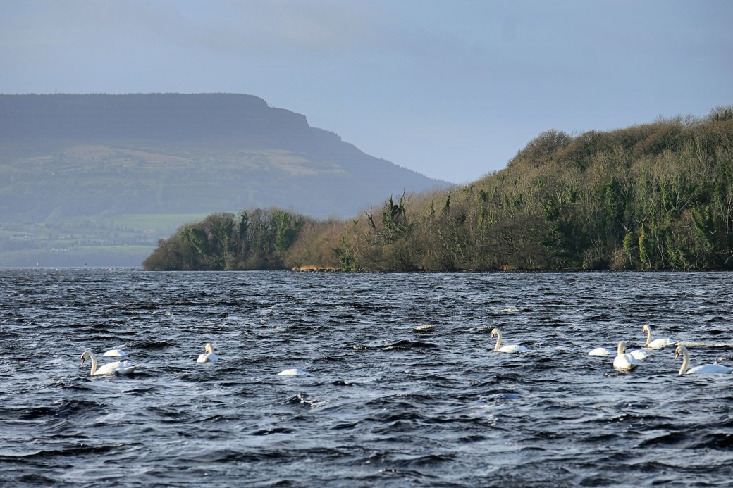Fermanagh