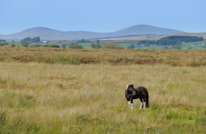 Sperrin Mountains, County Tyrone