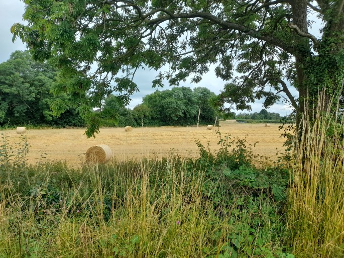Not a view you'd associate with Dublin (well, its western border)