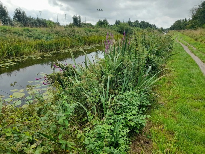 Royal Canal, Dublin