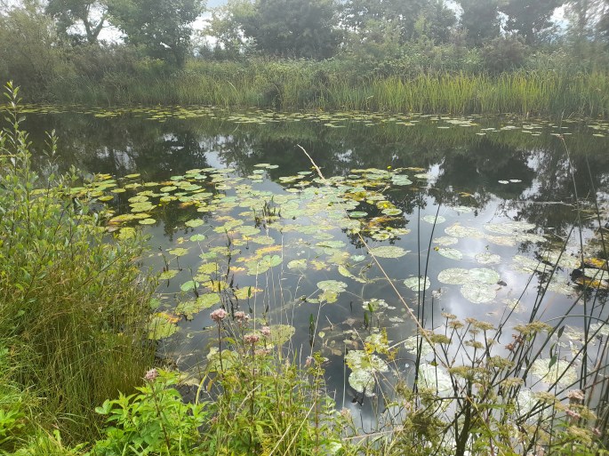 Royal Canal, Dublin