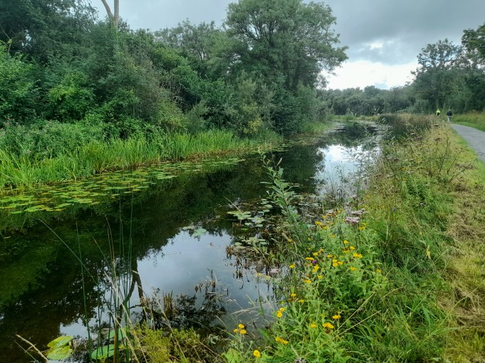 Royal Canal, County Kildare